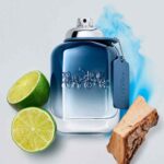 Coach Blue For Men Eau De Perfume Spray 100ml